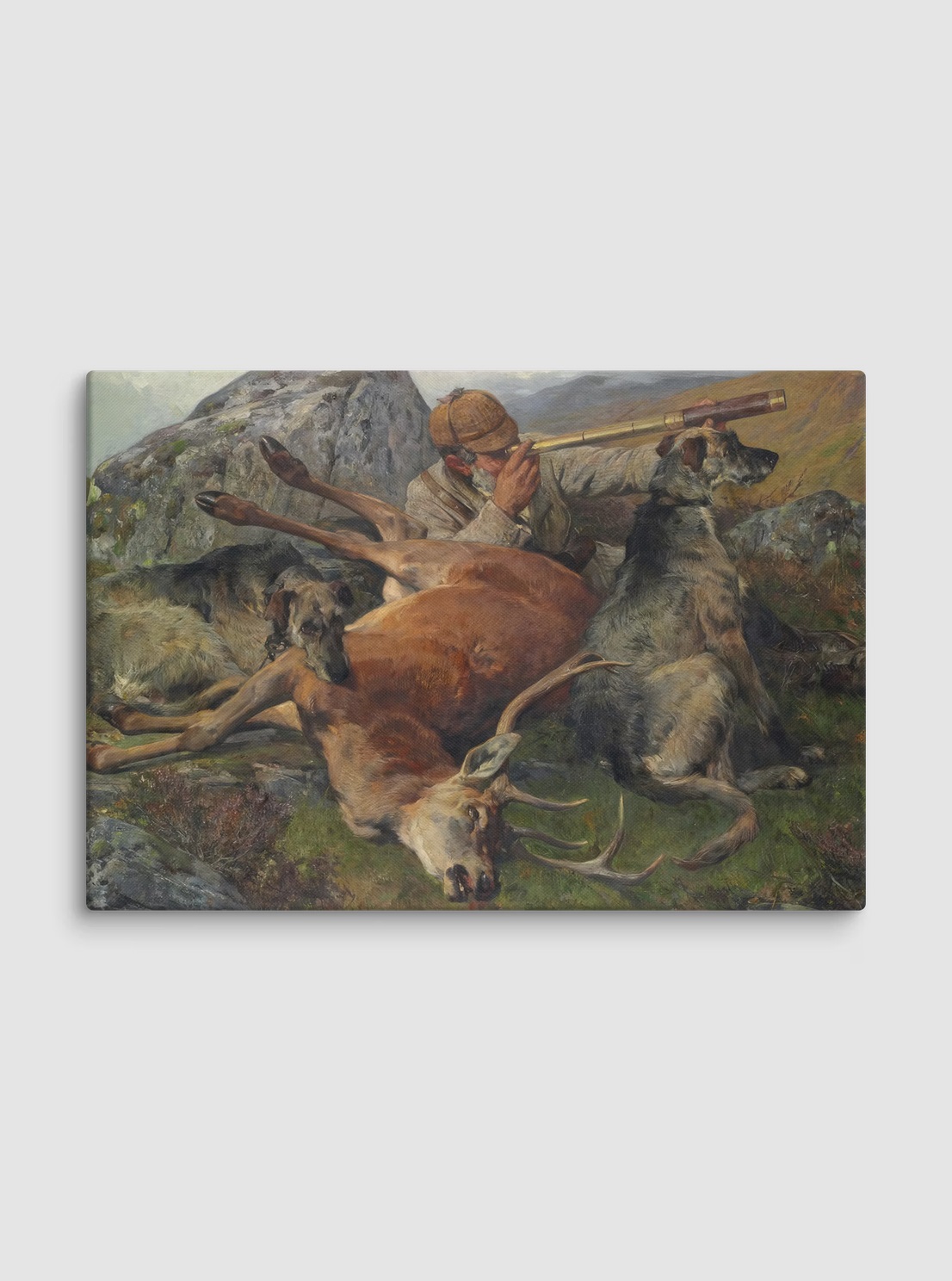 Main product image