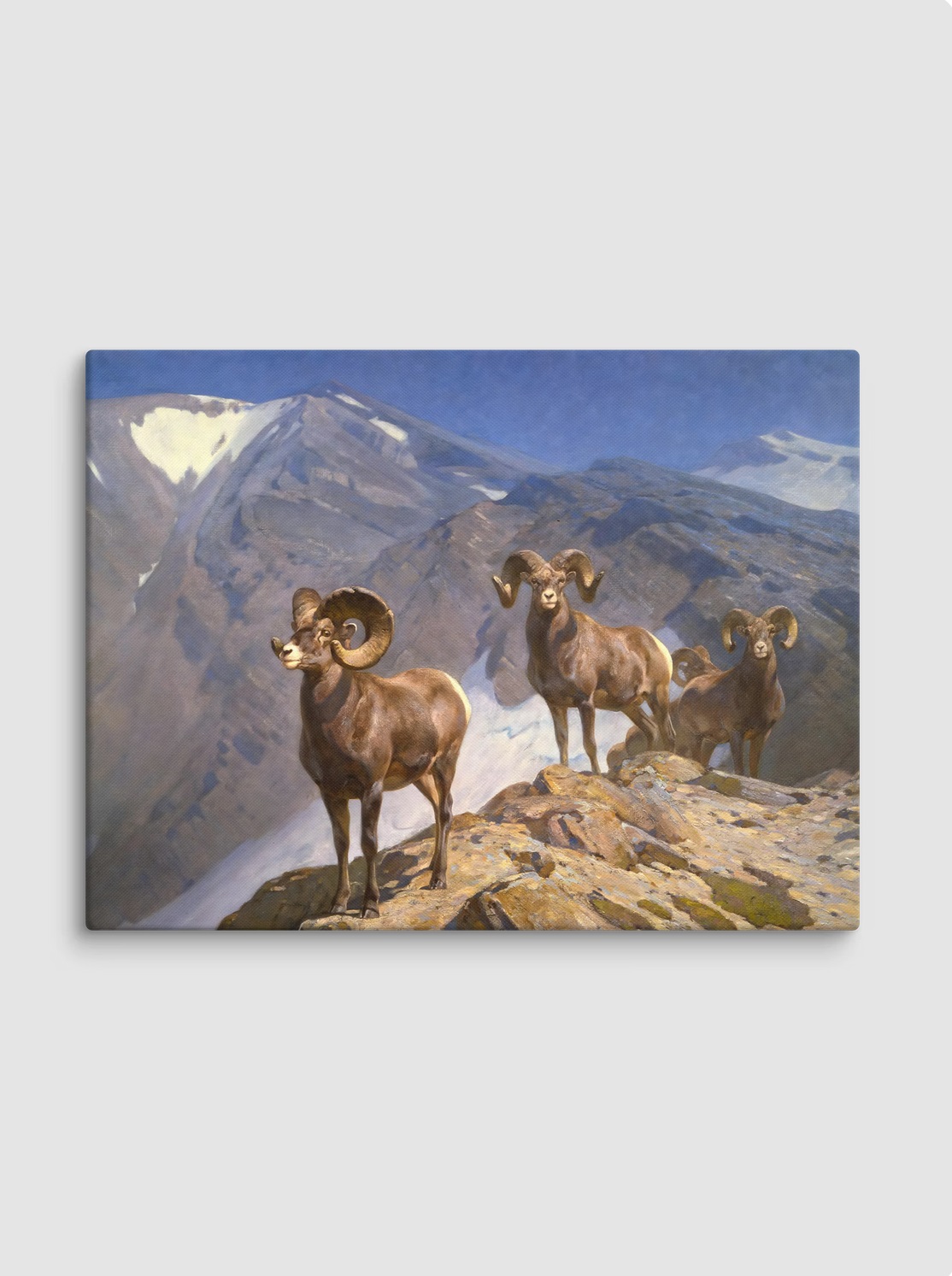 Main product image