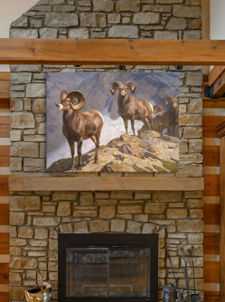 Big horn sheep big game hunting art canvas print