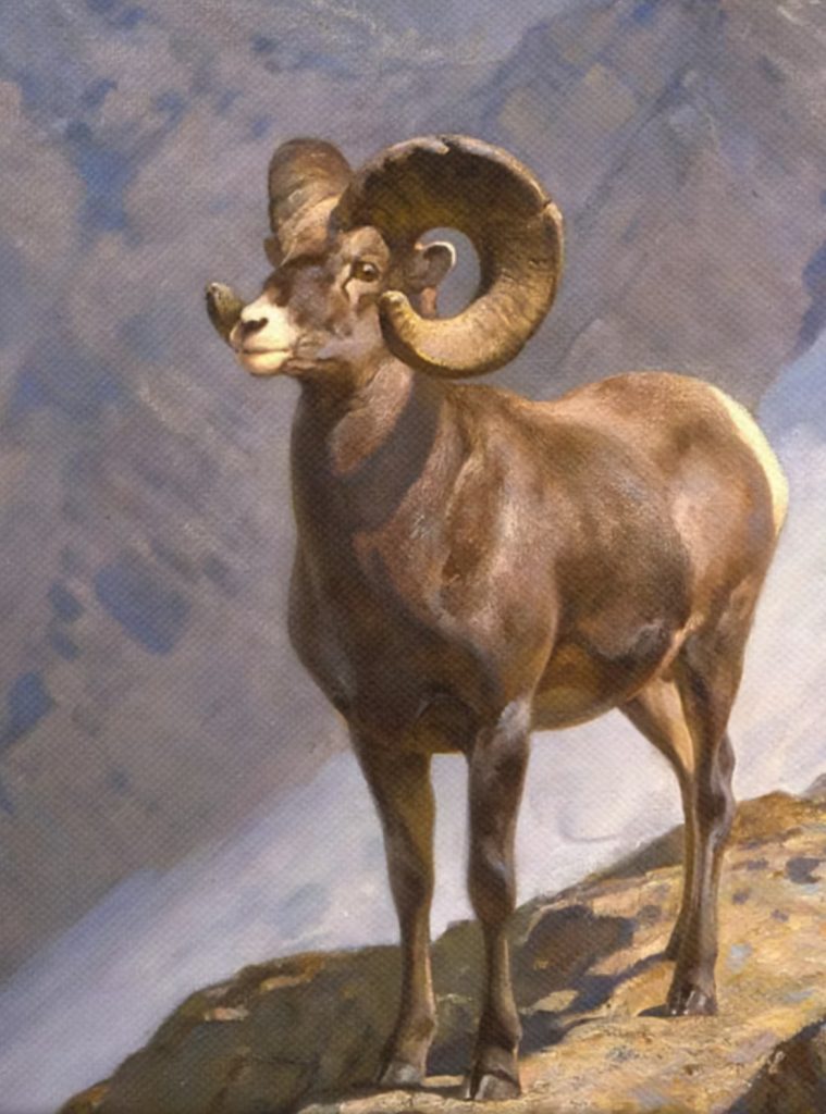 Big horn sheep wall art detail 1