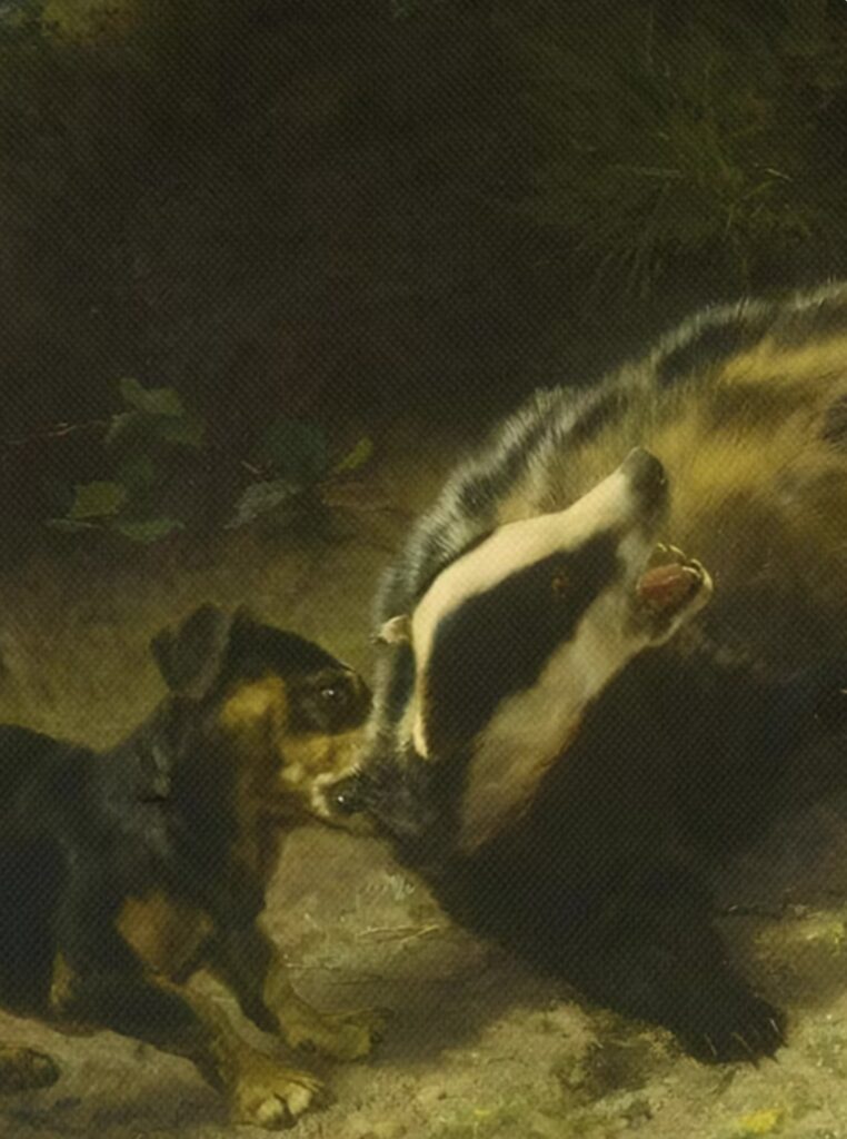 Dachshund hunting badger detail2