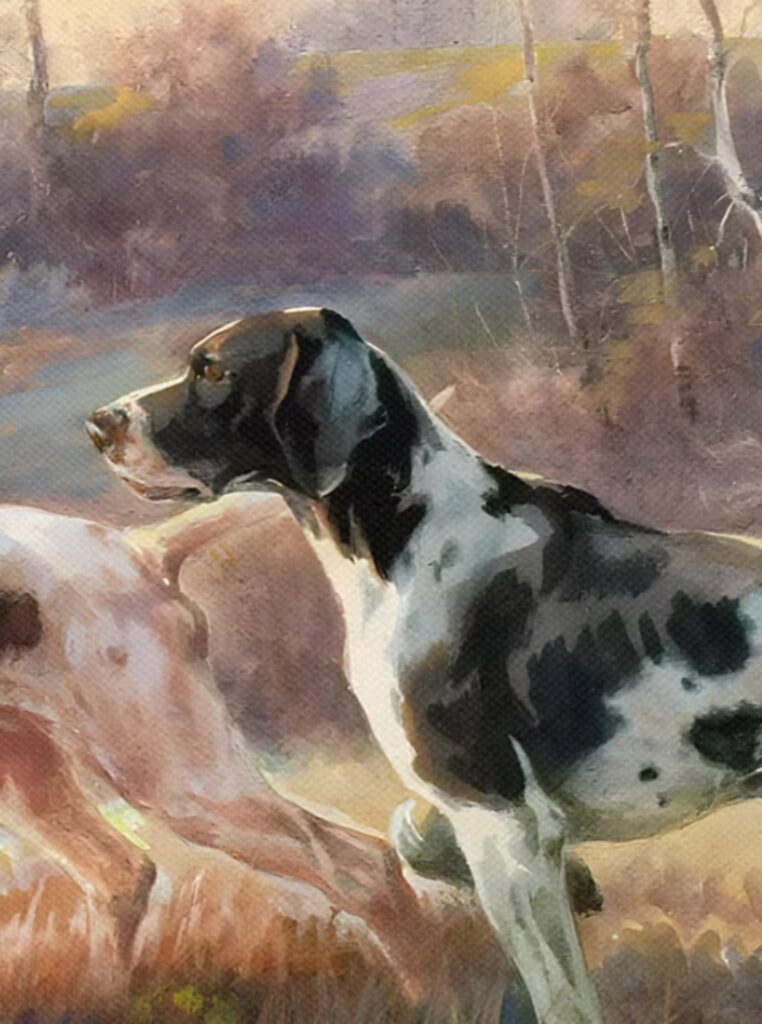 German short haired pointer portrait 1