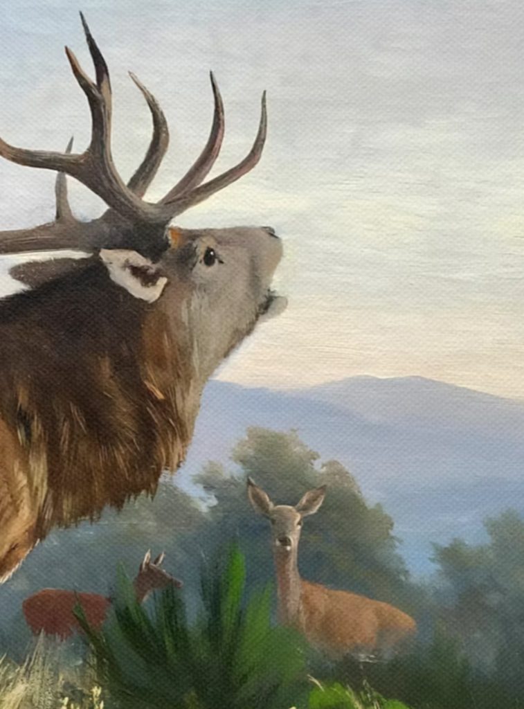 Roaring deer stag detail1